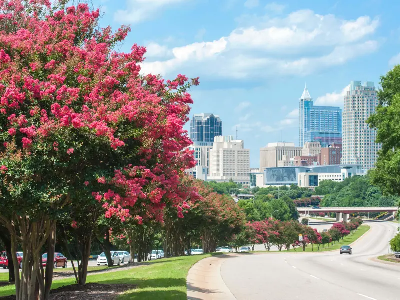 North Carolina Triad - single family house for rent NC Triad area, rental home properties available