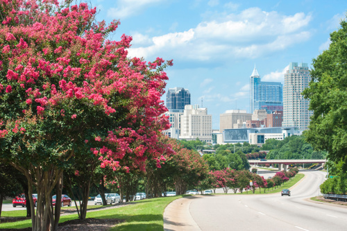 North Carolina Triad - single family house for rent NC Triad area, rental home properties available
